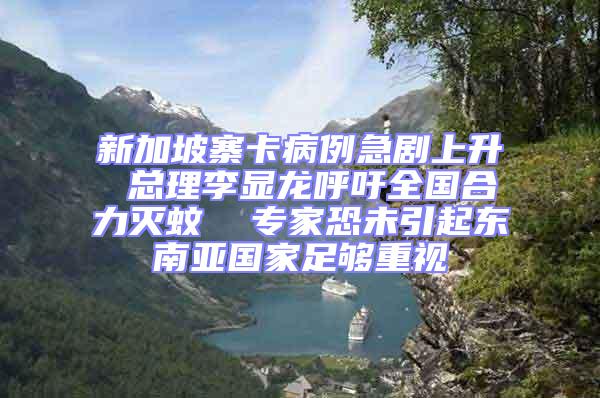 新加坡寨卡病例急剧上升 总理李显龙呼吁全国合力灭蚊  专家恐未引起东南亚国家足够重视