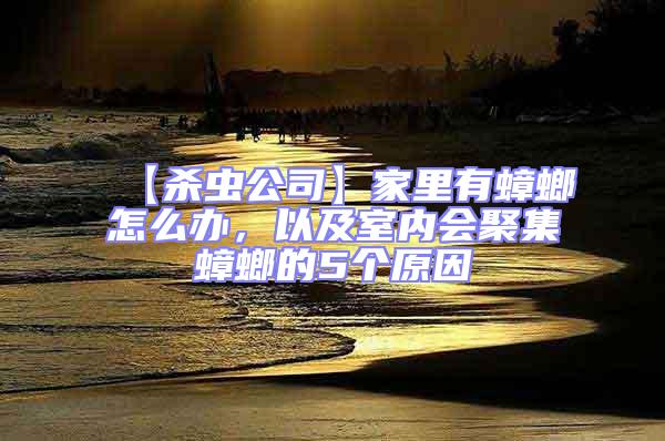 【杀虫公司】家里有蟑螂怎么办，以及室内会聚集蟑螂的5个原因