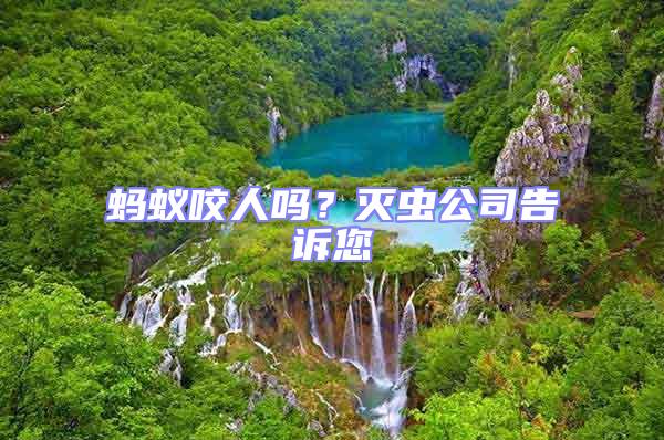 蚂蚁咬人吗？灭虫公司告诉您