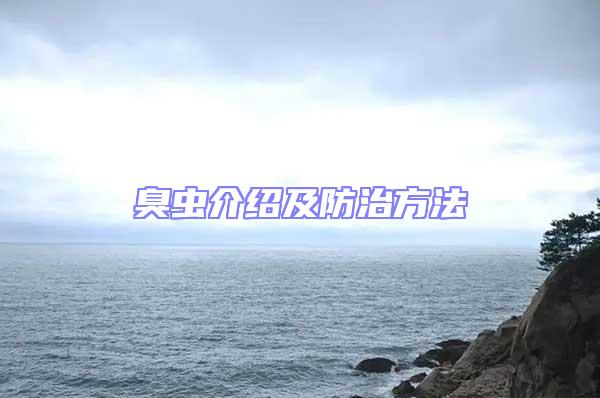 臭虫介绍及防治方法