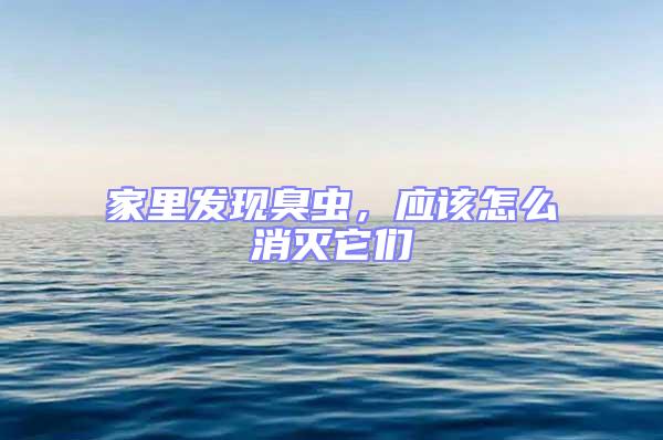 家里发现臭虫，应该怎么消灭它们