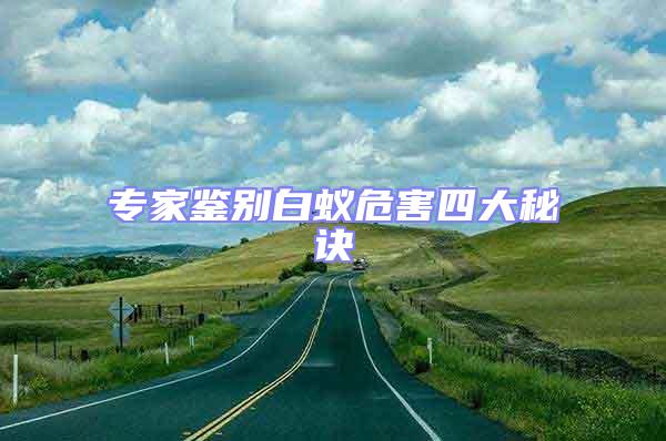专家鉴别白蚁危害四大秘诀