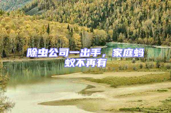 除虫公司一出手，家庭蚂蚁不再有