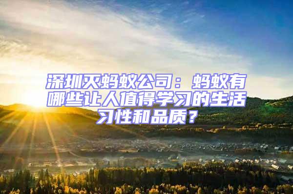 深圳灭蚂蚁公司：蚂蚁有哪些让人值得学习的生活习性和品质？