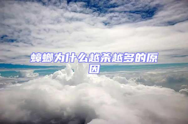 蟑螂为什么越杀越多的原因