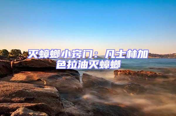 灭蟑螂小窍门：凡士林加色拉油灭蟑螂