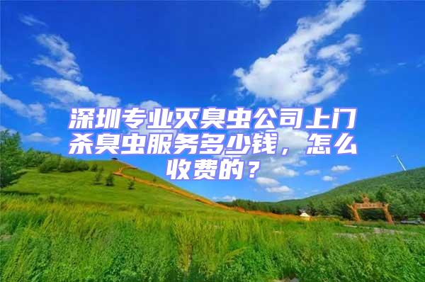 深圳专业灭臭虫公司上门杀臭虫服务多少钱，怎么收费的？