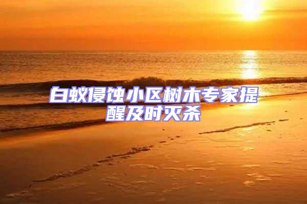 白蚁侵蚀小区树木专家提醒及时灭杀