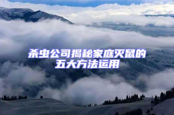 杀虫公司揭秘家庭灭鼠的五大方法运用