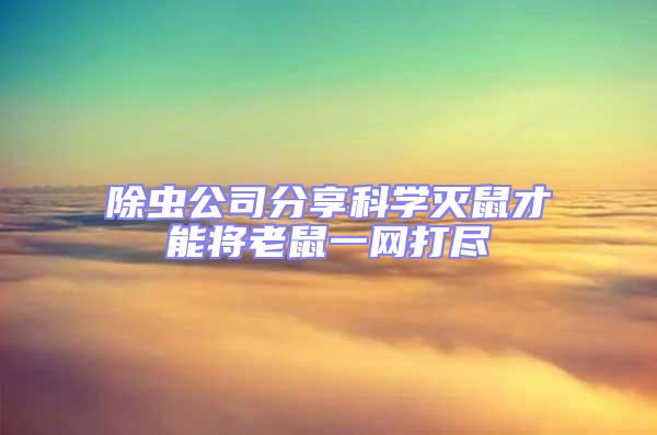 除虫公司分享科学灭鼠才能将老鼠一网打尽