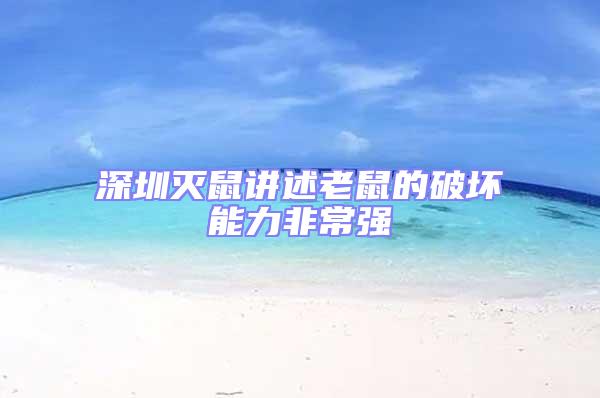 深圳灭鼠讲述老鼠的破坏能力非常强