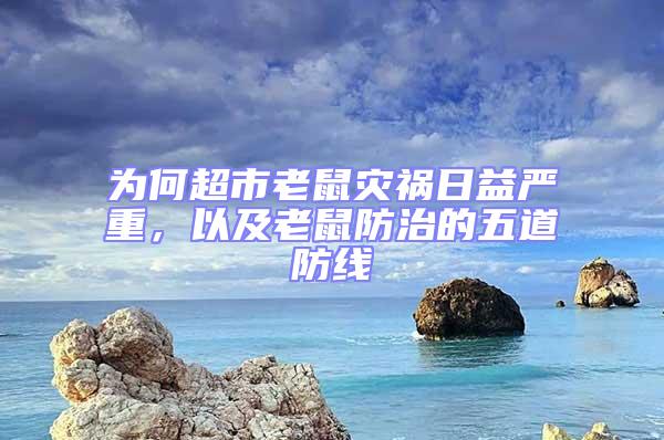 为何超市老鼠灾祸日益严重，以及老鼠防治的五道防线