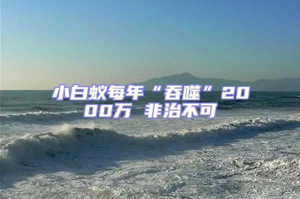 小白蚁每年“吞噬”2000万 非治不可