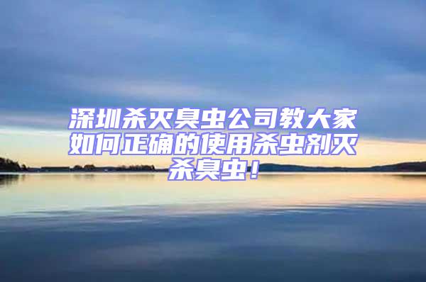 深圳杀灭臭虫公司教大家如何正确的使用杀虫剂灭杀臭虫！