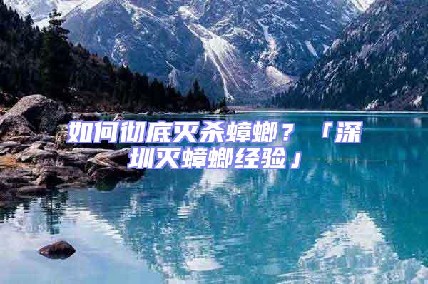 如何彻底灭杀蟑螂？「深圳灭蟑螂经验」