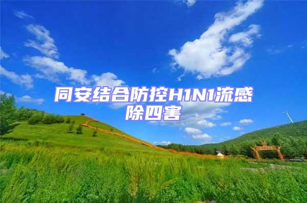 同安结合防控H1N1流感除四害