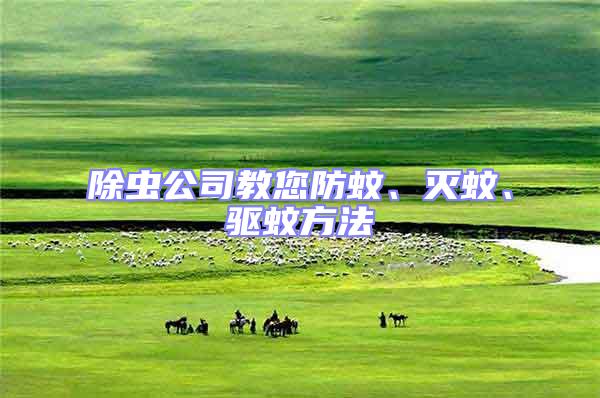 除虫公司教您防蚊、灭蚊、驱蚊方法