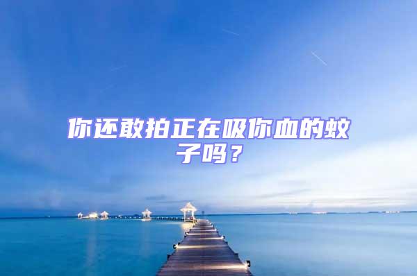 你还敢拍正在吸你血的蚊子吗？