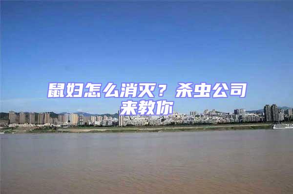 鼠妇怎么消灭？杀虫公司来教你