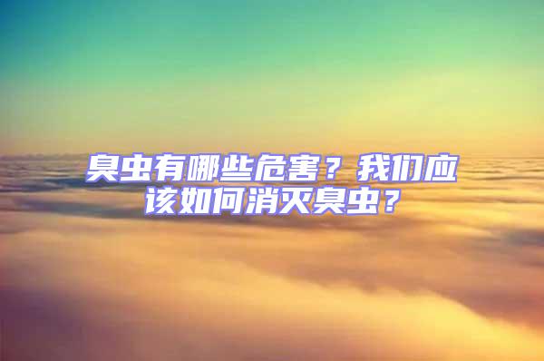 臭虫有哪些危害？我们应该如何消灭臭虫？