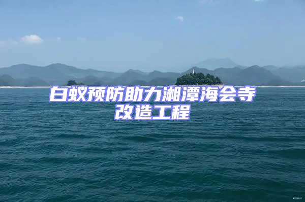 白蚁预防助力湘潭海会寺改造工程