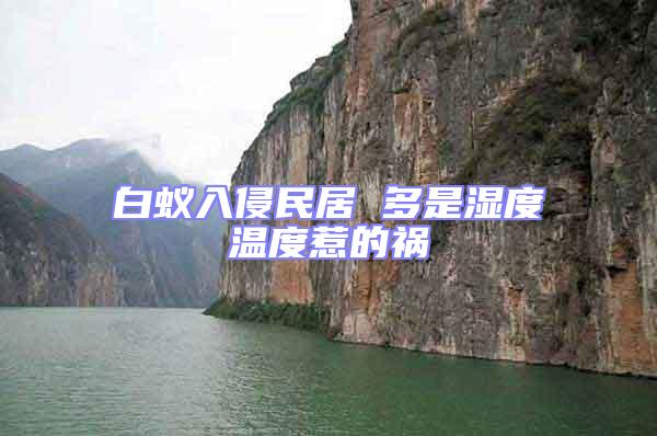 白蚁入侵民居 多是湿度温度惹的祸