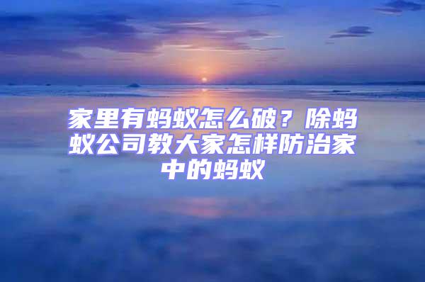 家里有蚂蚁怎么破？除蚂蚁公司教大家怎样防治家中的蚂蚁