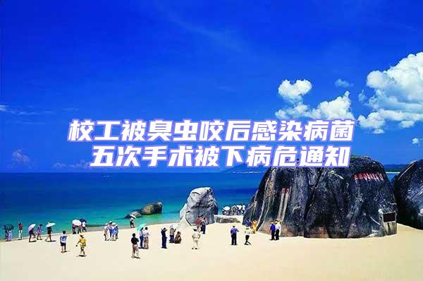 校工被臭虫咬后感染病菌 五次手术被下病危通知