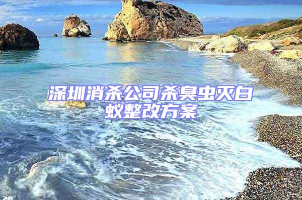 深圳消杀公司杀臭虫灭白蚁整改方案