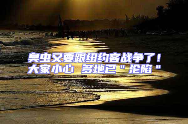 臭虫又要跟纽约客战争了！大家小心 多地已＂沦陷＂