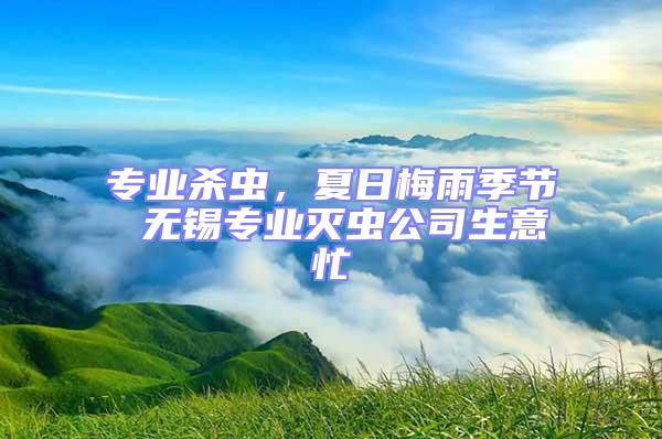 专业杀虫，夏日梅雨季节 无锡专业灭虫公司生意忙