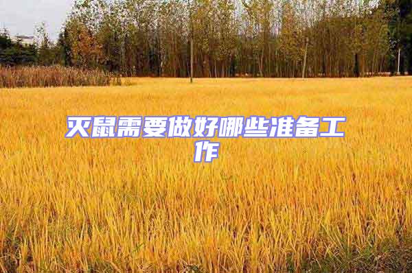 灭鼠需要做好哪些准备工作