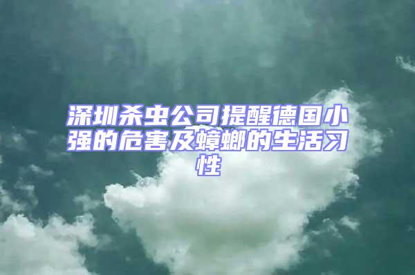 深圳杀虫公司提醒德国小强的危害及蟑螂的生活习性