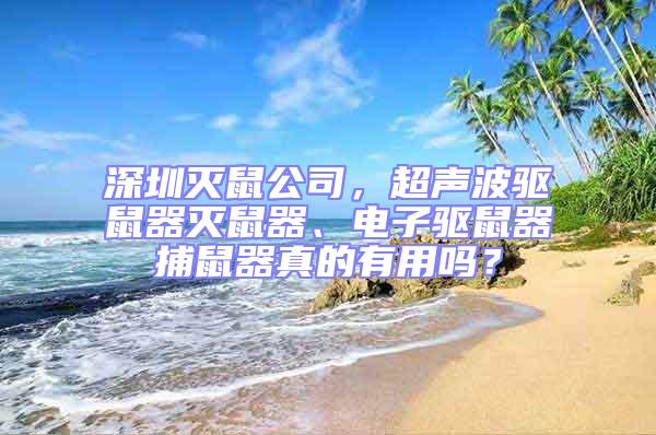 深圳灭鼠公司，超声波驱鼠器灭鼠器、电子驱鼠器捕鼠器真的有用吗？