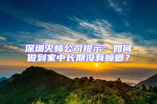深圳灭蟑公司提示：如何做到家中长期没有蟑螂？