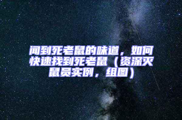 闻到死老鼠的味道，如何快速找到死老鼠（资深灭鼠员实例，组图）