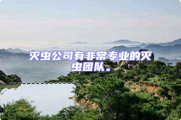 灭虫公司有非常专业的灭虫团队。