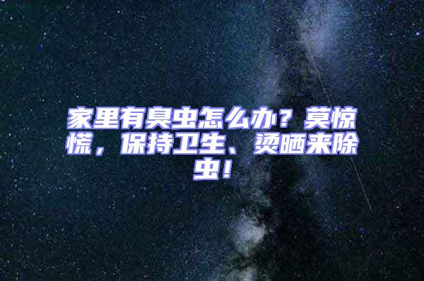 家里有臭虫怎么办？莫惊慌，保持卫生、烫晒来除虫！