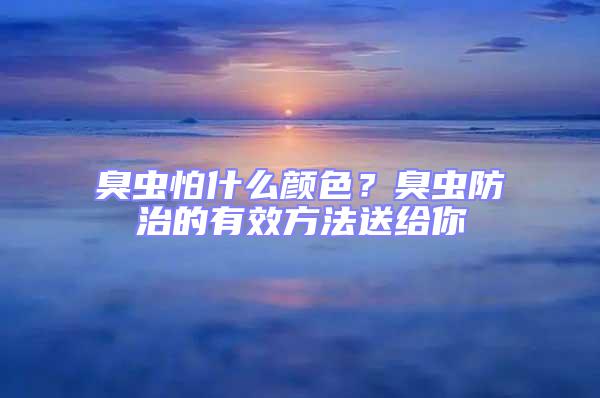 臭虫怕什么颜色？臭虫防治的有效方法送给你