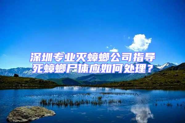 深圳专业灭蟑螂公司指导死蟑螂尸体应如何处理？