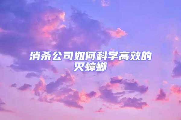 消杀公司如何科学高效的灭蟑螂