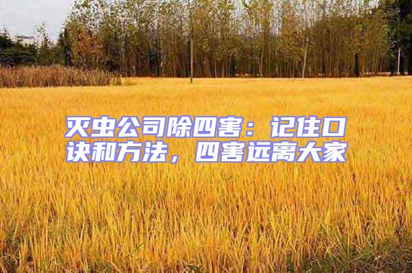 灭虫公司除四害：记住口诀和方法，四害远离大家