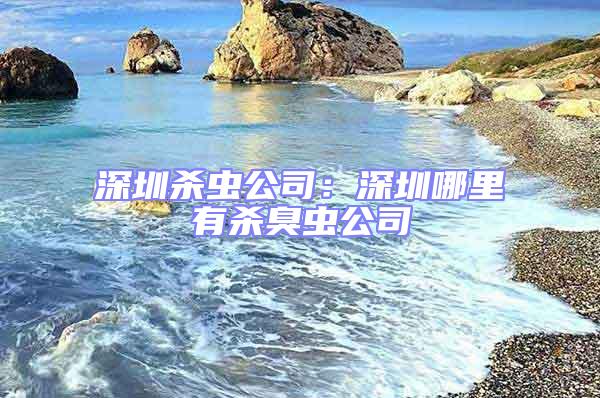 深圳杀虫公司：深圳哪里有杀臭虫公司