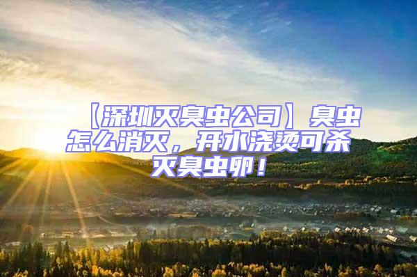 【深圳灭臭虫公司】臭虫怎么消灭，开水浇烫可杀灭臭虫卵！