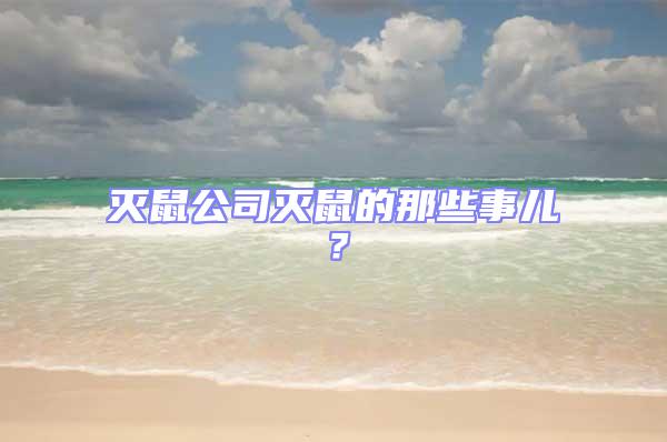 灭鼠公司灭鼠的那些事儿？