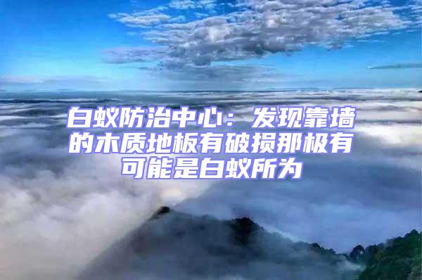 白蚁防治中心：发现靠墙的木质地板有破损那极有可能是白蚁所为