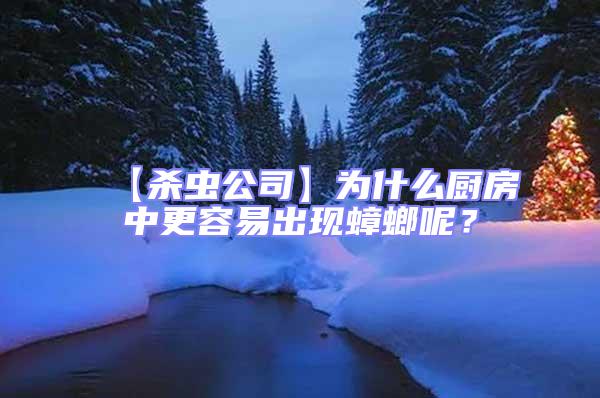 【杀虫公司】为什么厨房中更容易出现蟑螂呢？