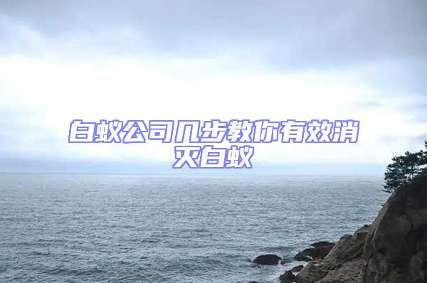 白蚁公司几步教你有效消灭白蚁