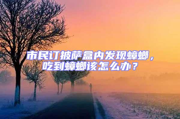 市民订披萨盒内发现蟑螂，吃到蟑螂该怎么办？