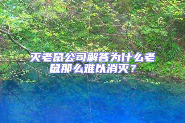 灭老鼠公司解答为什么老鼠那么难以消灭？